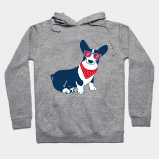 Cute Corgi with blue sunglass Hoodie